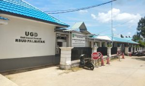 Terkait Pasien Terpapar Covid-19 di RSUD Palmatak, Drg. Windra: Ini Hoaks