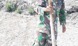 Dukung Program Ketahanan Pangan, Kodim 0315/Bintan Tanam Jagung di Lahan Seluas 1 Hektar