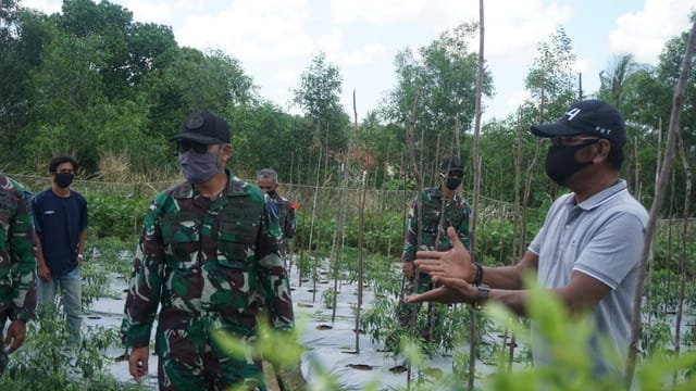 Intensifkan Lahan Untuk Ketahanan Pangan, Lanudal Tanjungpinang Gandeng Petani Mandiri