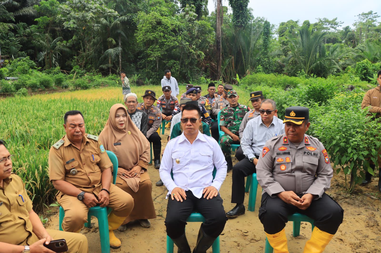 Dukung Ketahanan Pangan, Polres Anambas Hadir Panen Padi Desa Pesisir Timur