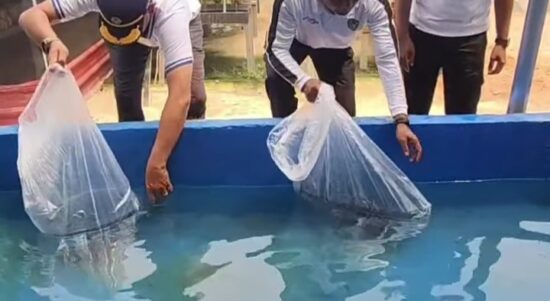 Kalapas Beserta Jajaran Kasi Kegiatan Kerja Telah Melaksanakan Penebaran 2.000 Benih Ikan Lele ke Kolam Budidaya Secara Bertahap dan Hati-Hati